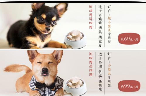 寵物食品的另一種可能 超能小黑如何用訂閱制新鮮主糧改變寵物犬的餐桌
